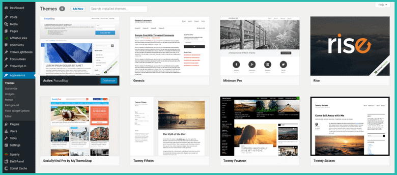 wordpress appearance section