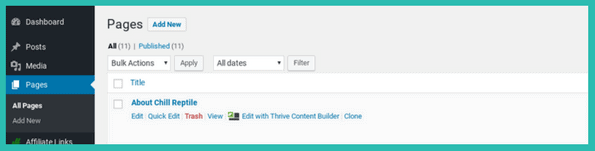 WordPress Pages