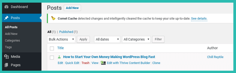 WordPress Posts