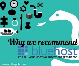 why we recommend bluehost