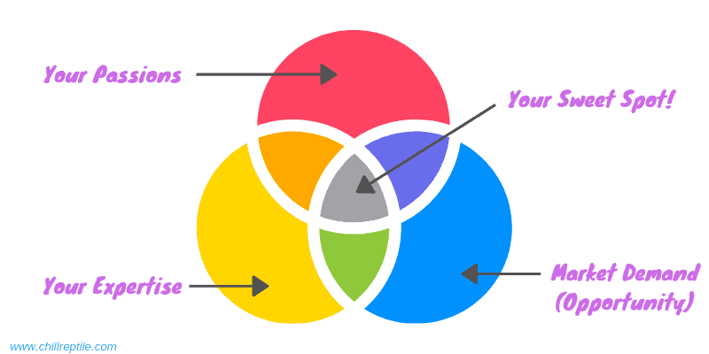 find your blog niche venn diagram