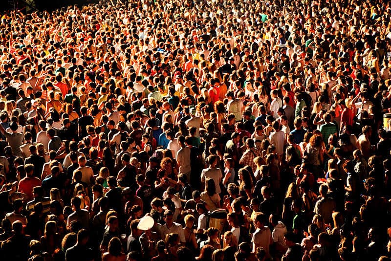 Blog Audience