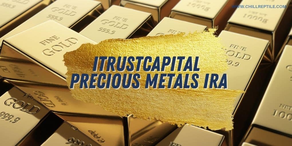 iTrustCapital Precious Metals IRAs