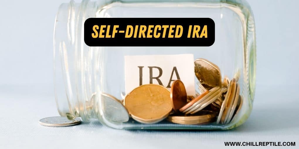 self-directed-ira self directed ira