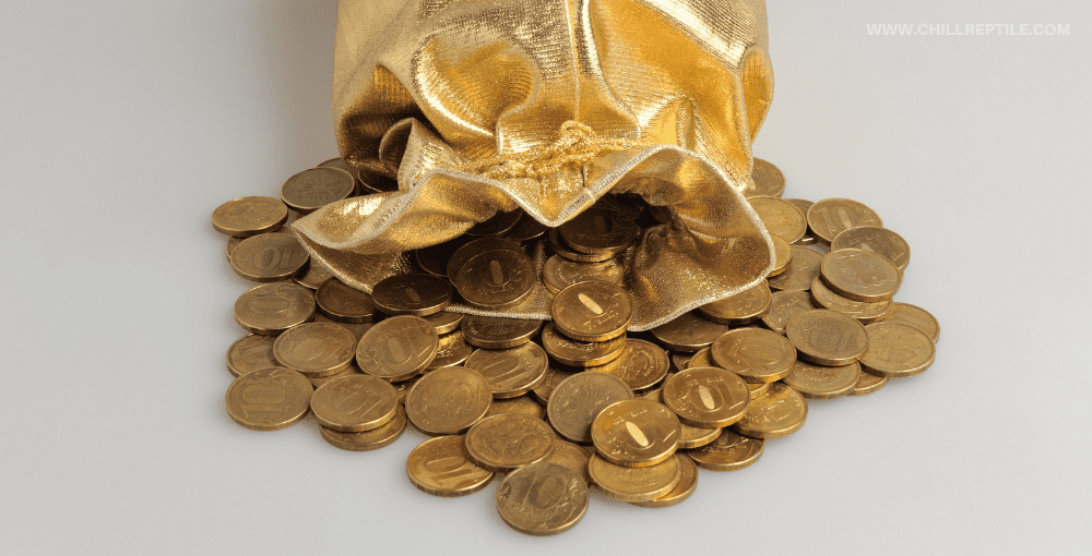 advantages_of_gold_investment benefits of gold investment