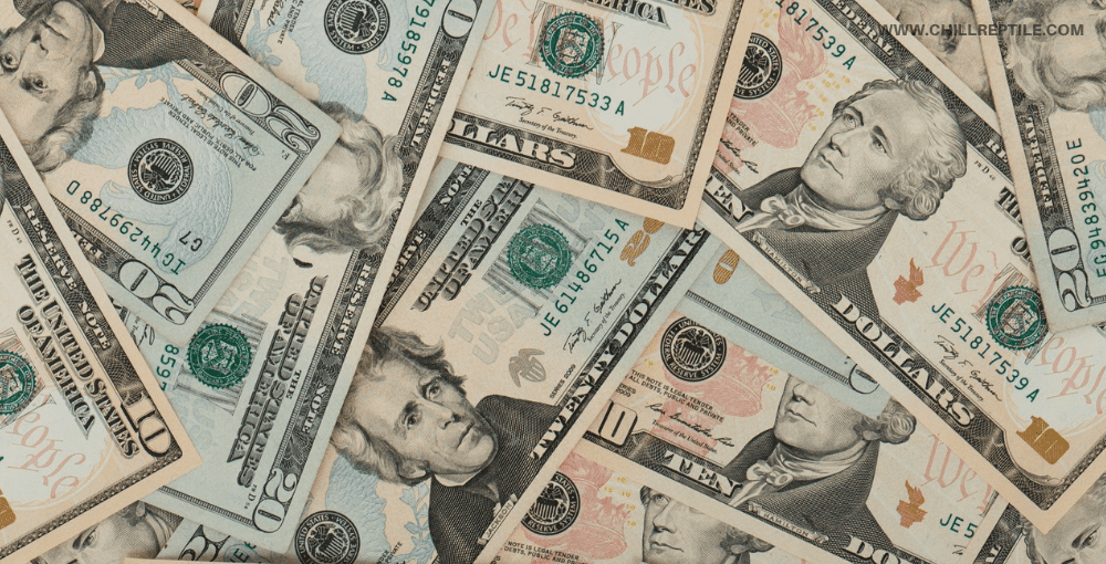 can etfs make you rich