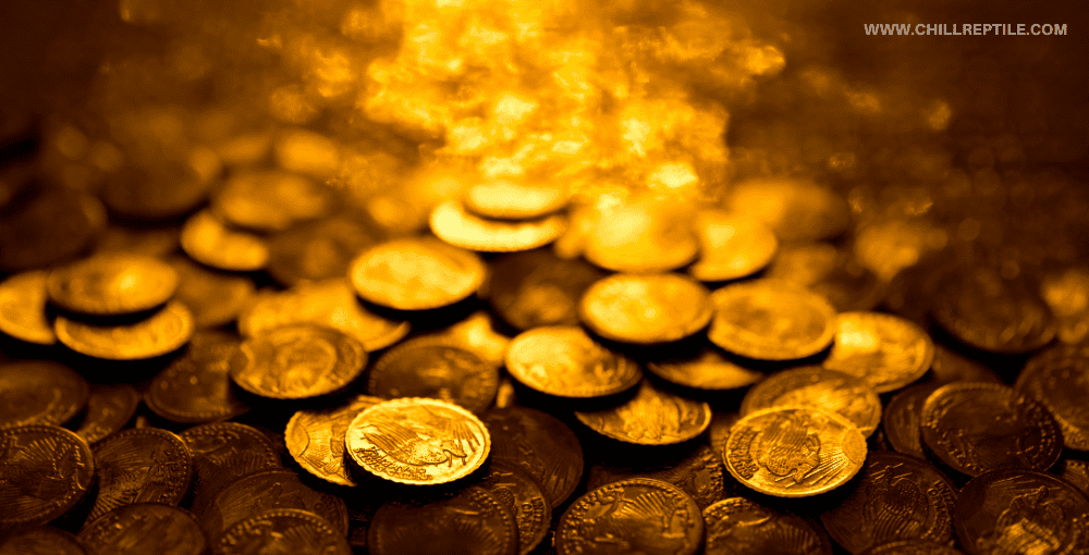 gold_coins gold coins