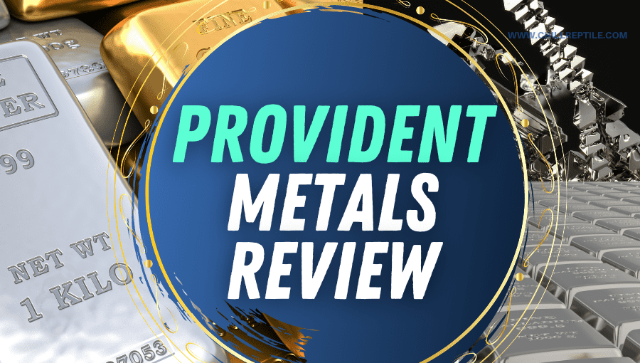 provident metals review