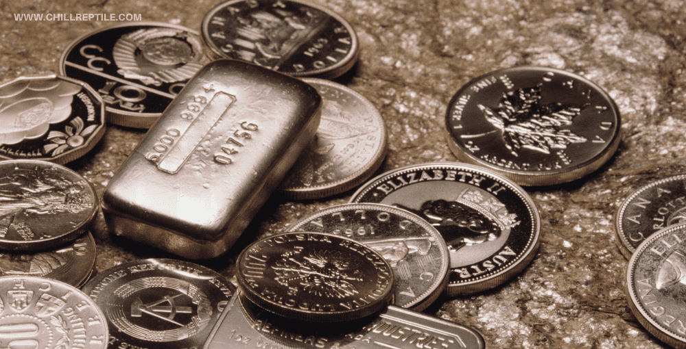 silver investment