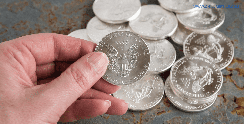 silver coins
