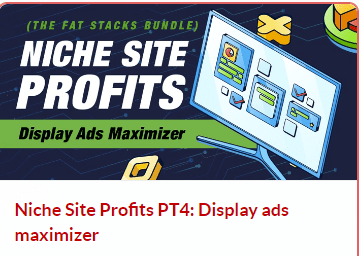 Niche Site Profits PT4 Display ads maximizer Niche Site Profits PT4 Display ads maximizer