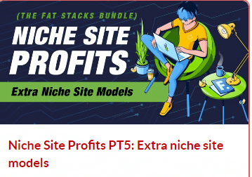 Niche Site Profits PT5 Extra niche site models Niche Site Profits PT5 Extra niche site models