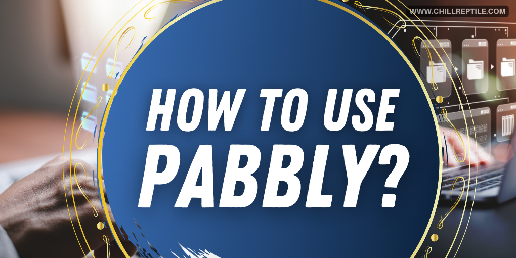 How to use pabbly