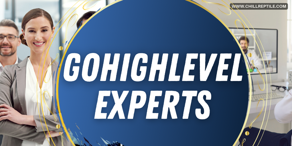 Where_to_find_gohighlevel_experts_-_featured_image Where to find gohighlevel experts