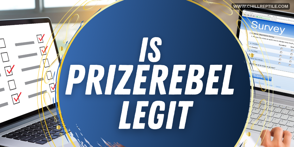 Is_PrizeRebel_Legit_ Is PrizeRebel Legit