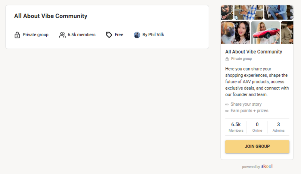 all about vibe skool community